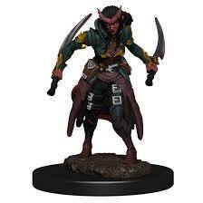 Icons of the Realms Tiefling Rogue